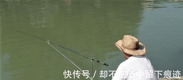 秋天野钓鲤鱼用什么饵料较好？这样搭配饵料，连竿几率更高