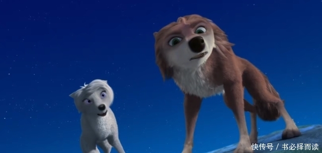 狼群|动漫影视论丨彼此了解才能拥有爱情,《丛林有情狼》体会生活美好