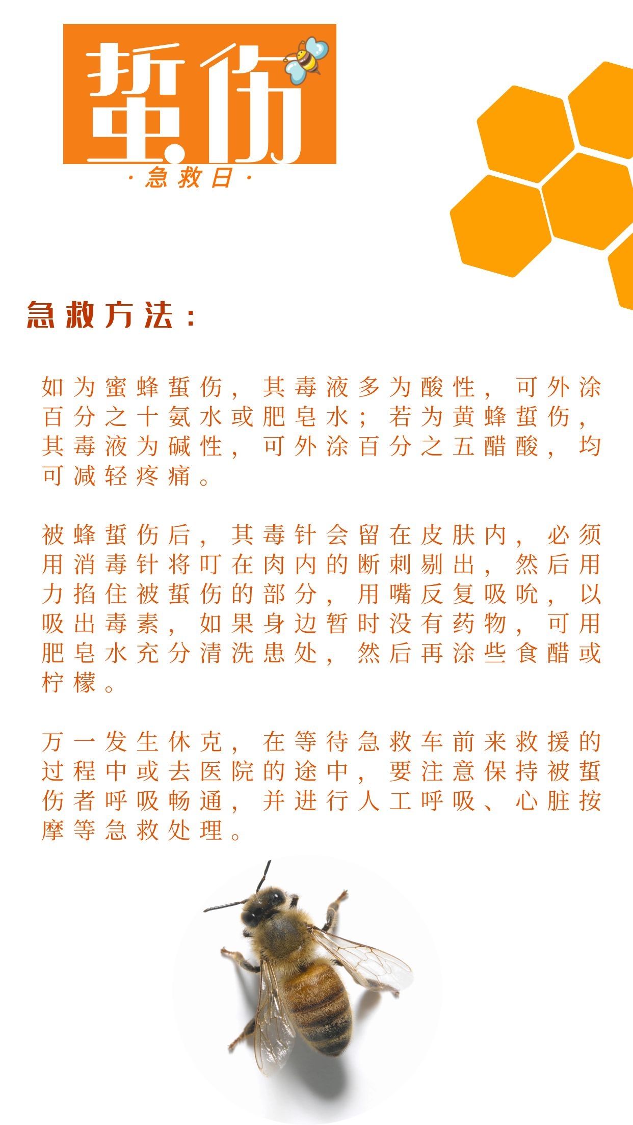 这些急救知识必须掌握！|世界急救日 |“引路人”眼中的幸福、快乐与值得\＂,\＂l0\＂:\＂教师节