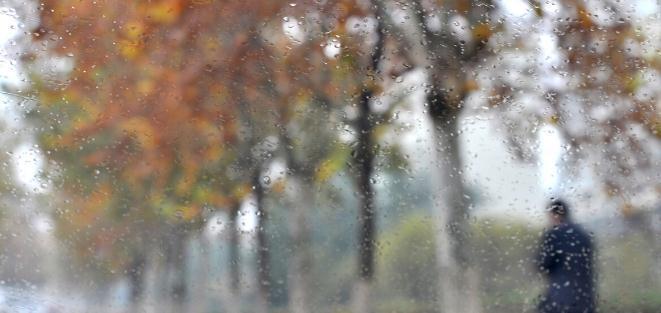 风木|体内湿气重不要怕，中医总结5大祛湿方法，轻松助你无湿一身轻