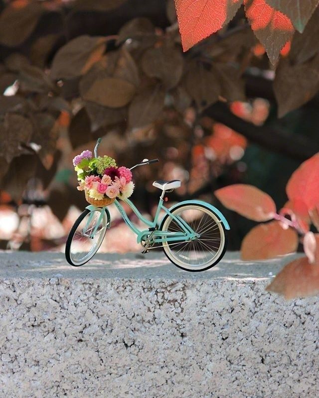 在你身边#越读越有味的人生格言,句句经典,引人深思