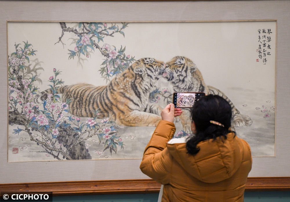 呼和浩特&内蒙古呼和浩特：看虎展 迎新春