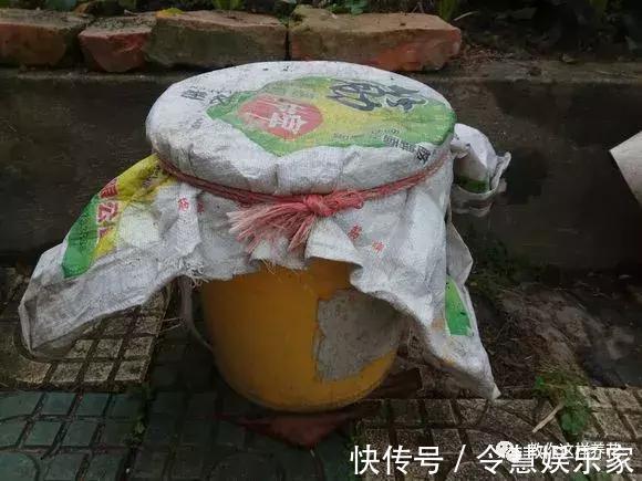 这2种“壳”丢了太可惜，埋花土里3年不板结，种什么花都旺！