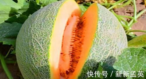 食物|想长寿要先会吃,3种食物不可少,排毒养颜,提高免疫力!