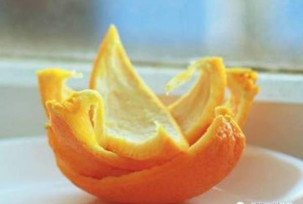 厨房这3样“小东西”，养花比肥好使，养啥爆啥！