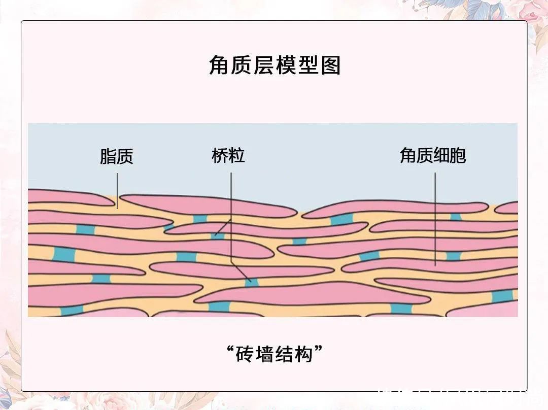 小飒|呵呵，跟着美妆博主学护肤，学成了敏感肌？