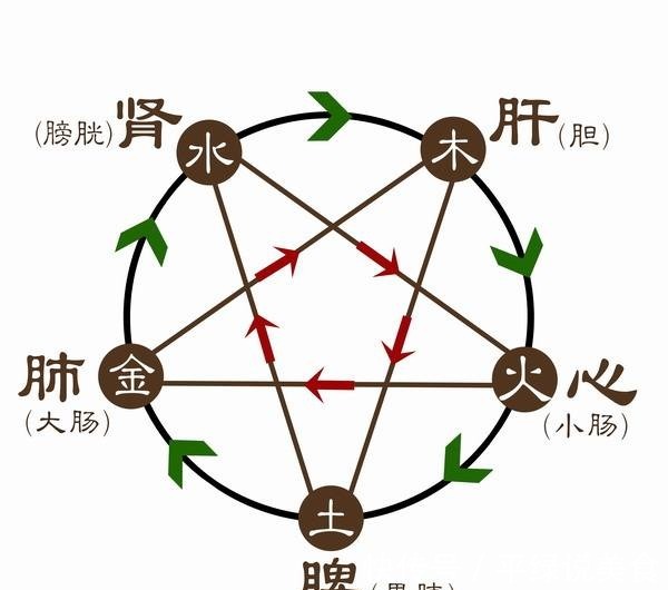 肺气|不懂五行就不懂中医,吃再多的保健品也没用,擦再多化妆品也是浪