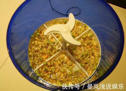 豆芽机|谁买谁后悔的11件家具家电,我家中了6个,占地又浪费钱