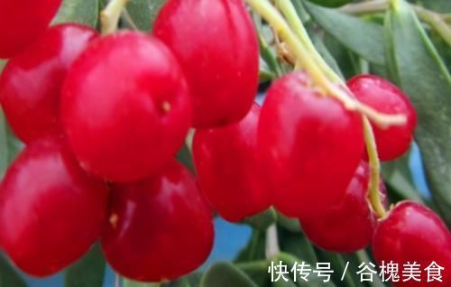 女性|聪明女性都在吃3种食物,排毒养颜,延缓衰老,早吃早健康!