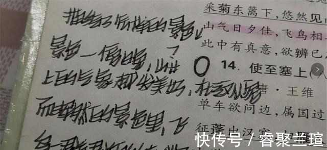 容嬷嬷&初中生独创“容嬷嬷字体”,每一笔都像针扎,老师看着就感觉疼