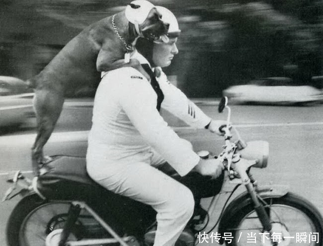 忍俊不禁|18张让人忍俊不禁的老照片