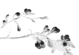 古城|千年古城的历史,由这些铁钱见证