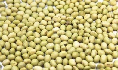 小知识|失眠吃桂圆管用吗专家说失眠的时候吃以下几种食物，有助睡眠