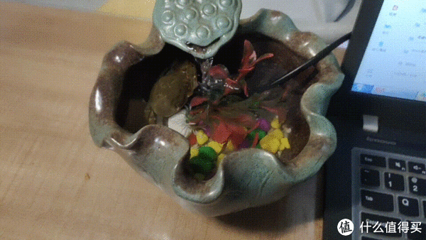 小呆评测 篇七十九：陶瓷质感高端大气，造型灵动焕发勃勃生机