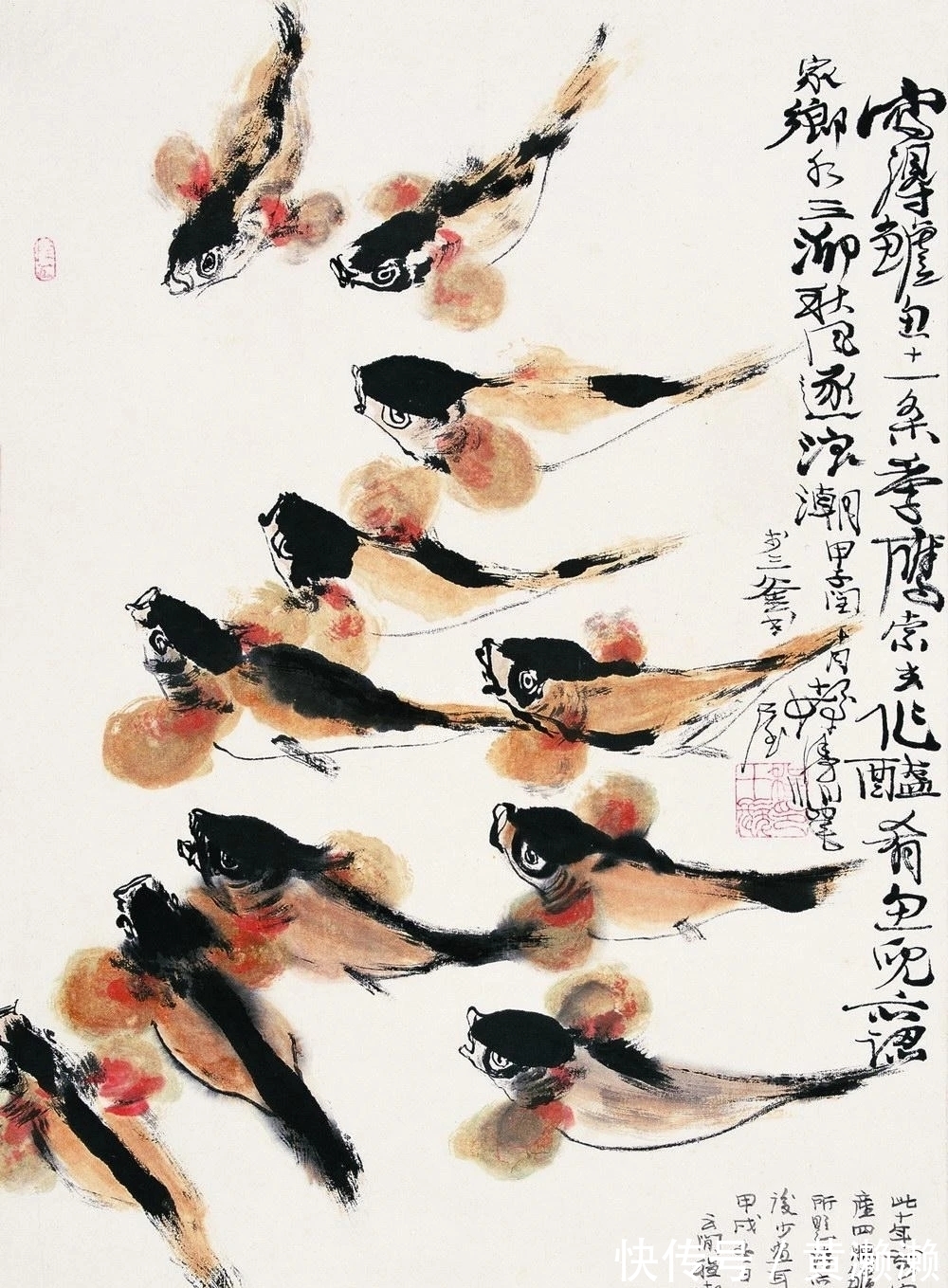 色彩$色彩大师!程十发花鸟画