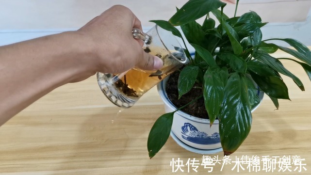 隔夜茶水别倒掉了,解决了男士女士的难题,真实用进来学学!