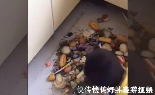 熊孩子|妈妈发现了一个不爱吃早饭的“熊孩子”,真想不到,藏得也太深了