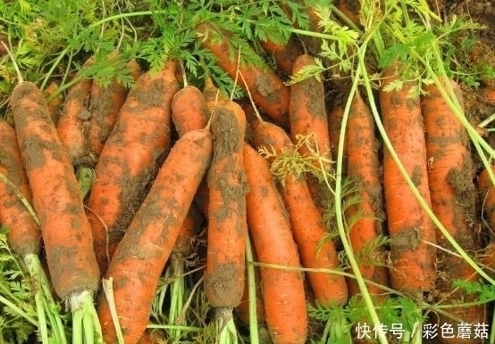 肝脏|患有肝病不用怕,常吃这几样食物,排毒养肝,肝慢慢变好!