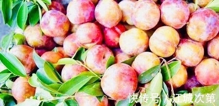 排毒|女性常吃此物,再贵也别省,排毒污血,皮肤红润细腻,抗癌抗衰老