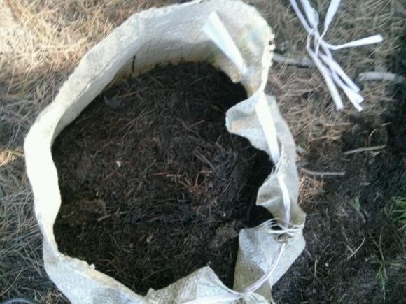 山上一种土,是养花“黄金土”,啥花吃了都疯长!