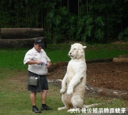 |爆笑段子:今天中午饭点时,我科室主管突然递给我一百块钱!