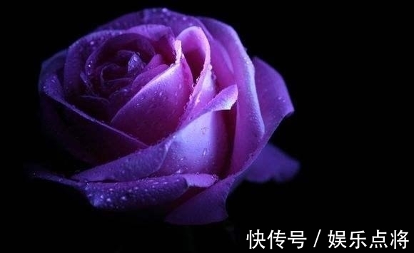 真爱|下个月内，缘分与桃花一切无恙，默默守护真爱的四大生肖！