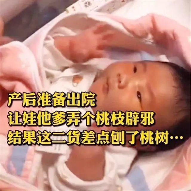 直男|“直男爸爸”接娃出院引围观,宝妈看后哭笑不得:只让他折根桃枝