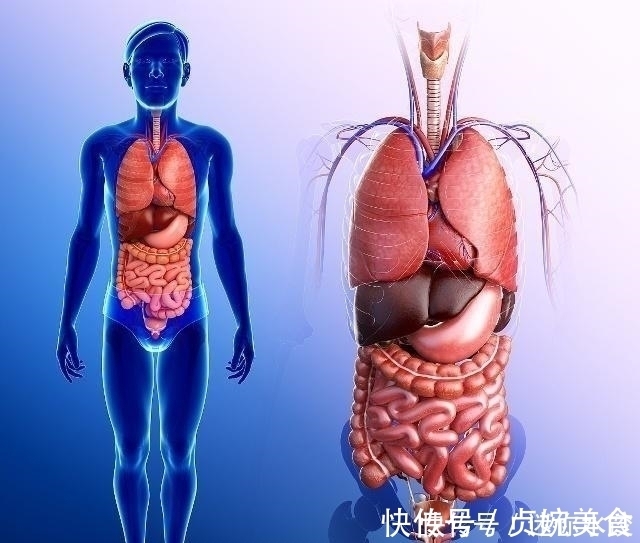 肝脏|肝硬化身上可能有4种表现,常吃这种“解毒王”,肝硬化不攻自破