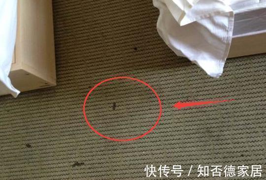 壁纸|房子刚装完!老丈人气冲冲指出16大装修错误,听完真令人炸毛