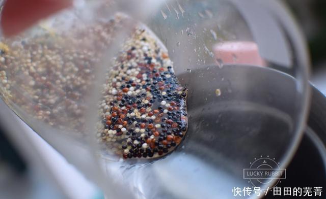 好吃|秋天要好好吃早餐,像我这么做早餐,营养又快手,吃饱不怕冷空气