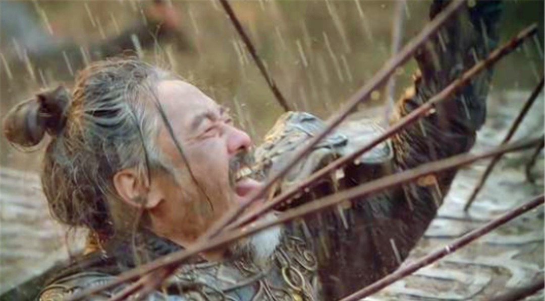 不助|诸葛亮看将死的司马懿被大雨救了,为什么不令将士追杀司马懿,却喊天不助我