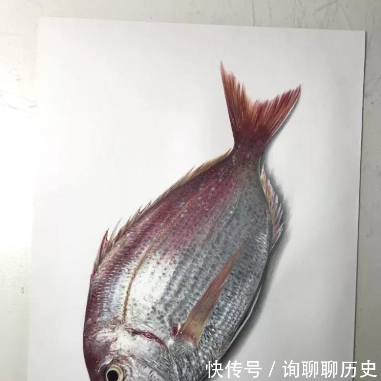 鱼儿！日本清秀画家，画鱼没水却有鱼游动的意境，堪比我国冷军老师！