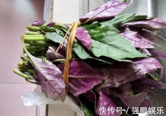 红凤菜|以下五大野菜不建议过量食用,少吃不可贪嘴,有人居然一点不知道