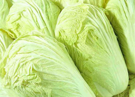 白菜|白菜和此物一起吃,体内毒素没了,美容又健脑,早知早受益