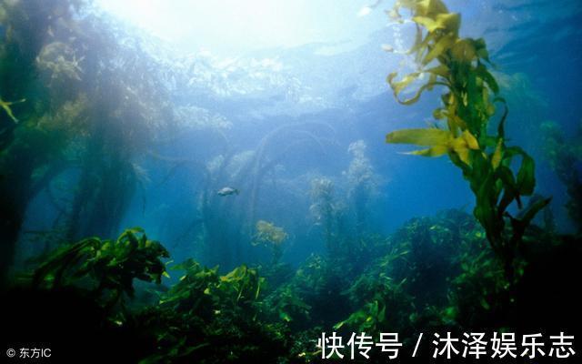 天然|15种能减少癌症发生的天然食物,日常多食用有助健康