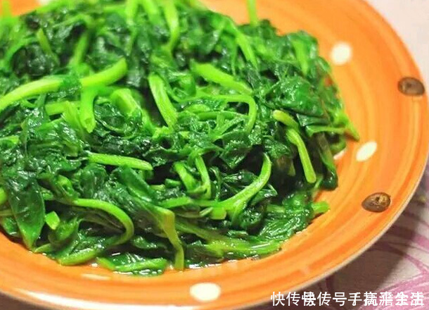 主食|99歲長壽夫妻菜譜不愛主食，獨愛3樣菜，養胃排毒沒病找