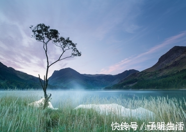 处女座|表面不争不抢的星座,总在背后默默努力付出,生活注定不平凡