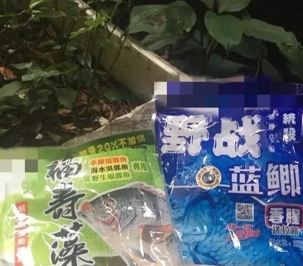 “野战蓝鲫+米饭”让你冬钓鲫不断上鱼!再不担心鱼获!