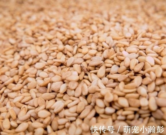 芝麻香油不用出去买了，10块钱在家做2瓶，香味浓郁无添加