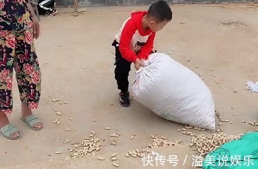 奶奶|萌娃“开拖拉机”帮奶奶运花生走红,不愧是全村最靓的那个仔