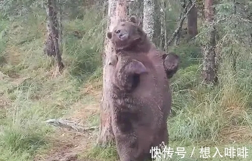 30个冷知识:真实存在于世界,但却鲜为人知的奇怪知识