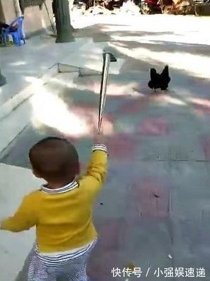 手机|手机控宝宝到农村一个月大变样,只是奶奶家的鸡倒霉了