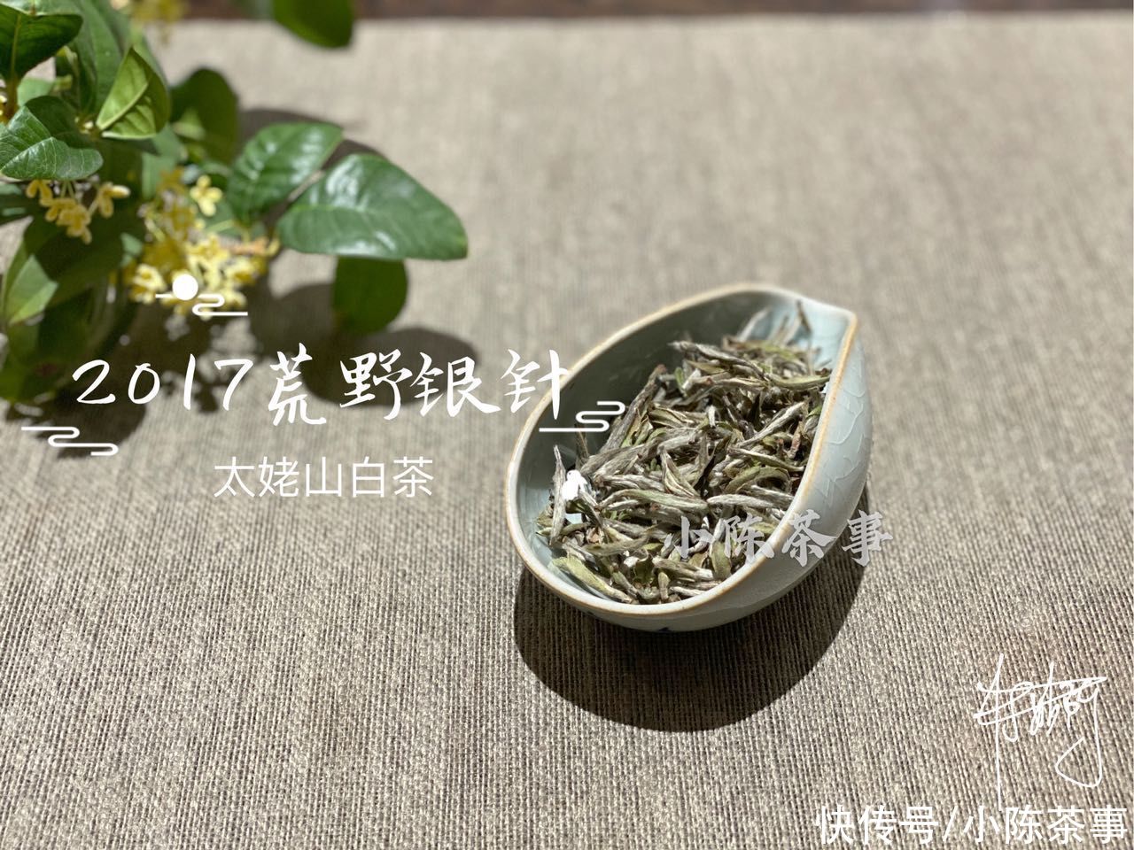 香气|不同类型的白茶之间，香气口感滋味有什么不同？一次性为你讲明白