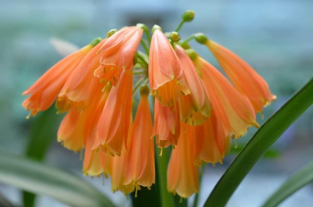 吵架|珍惜这几个星座男,吵架后会主动低头认错,只因他们太爱你