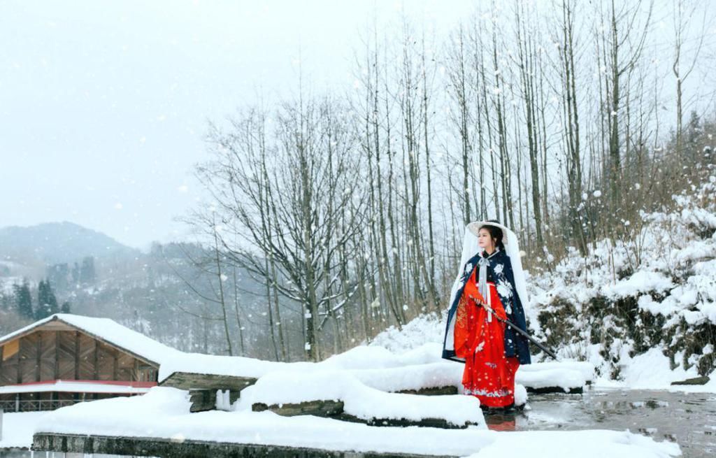 飘进|大雪飘进唐诗里