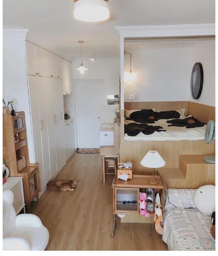 狗狗|30㎡小户型，客餐厨全都有，还有独立的狗狗房，1平米当2平米用