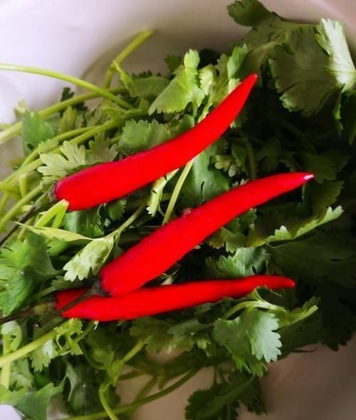 杭茄|这菜是“天然解毒王”,隔天上吃1次,相当于给肝脏“洗个澡”