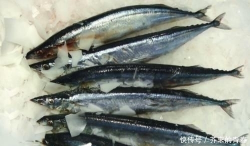 去菜市场买鱼时，看到这3种鱼可以多买点，没法养殖只有野生的