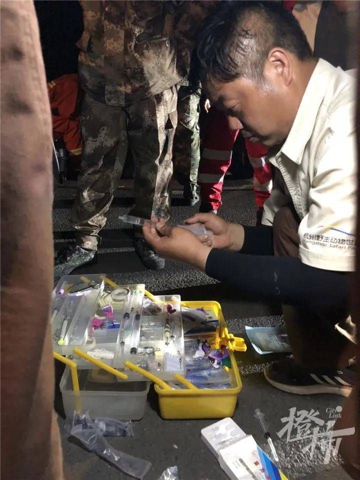 “跑得像飞一样！”凌晨1点，无人机发现第三只豹子，合围失败