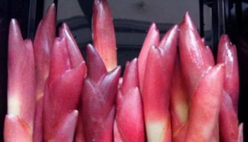 毒素|人到中年想长寿,立秋后推荐吃3种食物,软化血管,排毒素清污血